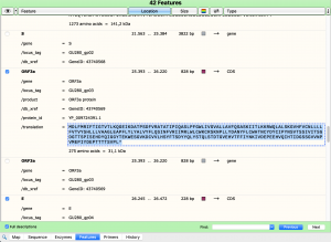 Snapgene orf3a feature.png