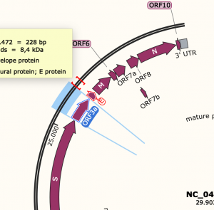 Snapgene select orf3a.png