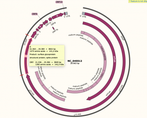 Snapgene select spike.png