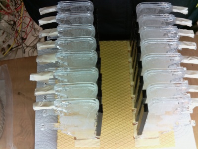 Artgerechte Massentierhaltung