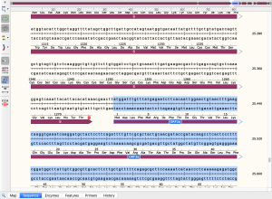 Snapgene orf3a DNA.png